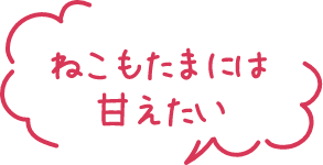 ねこもたまには甘えたい